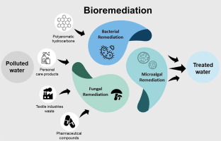 Bioremediation Technique for Remediation of Polychlorinated Biphenyls 