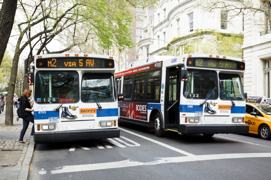 Buses in timing and prices in New York city (transportation system of New York City)